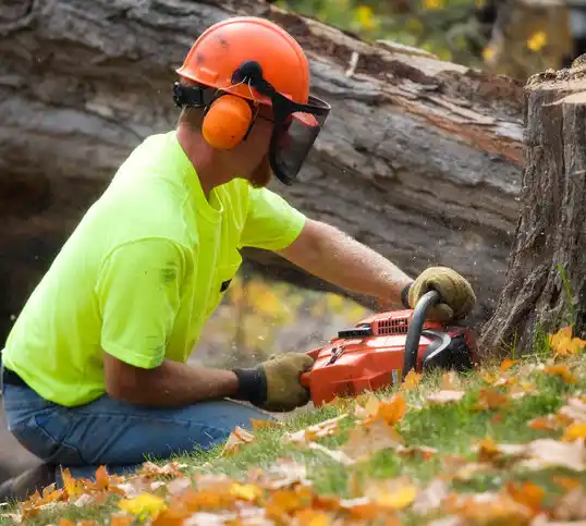 tree services Richlands